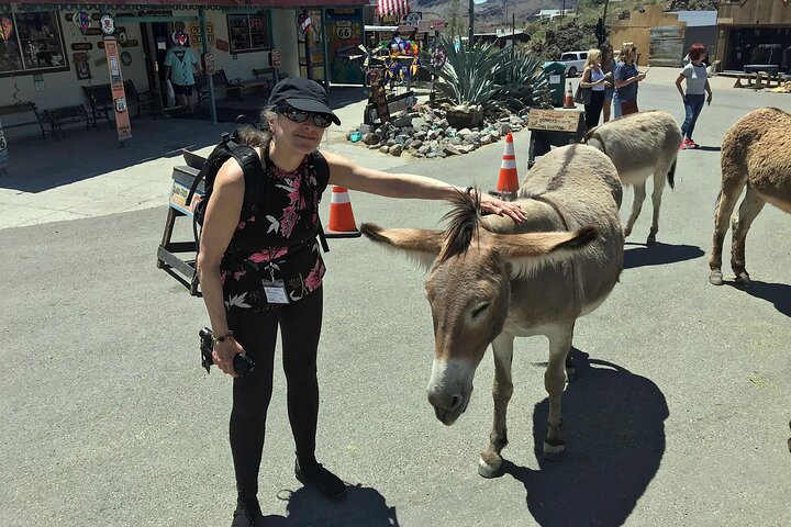 Oatman Village Western Mining Village/Museums & Scenic Route 66 Experience - thumb 5