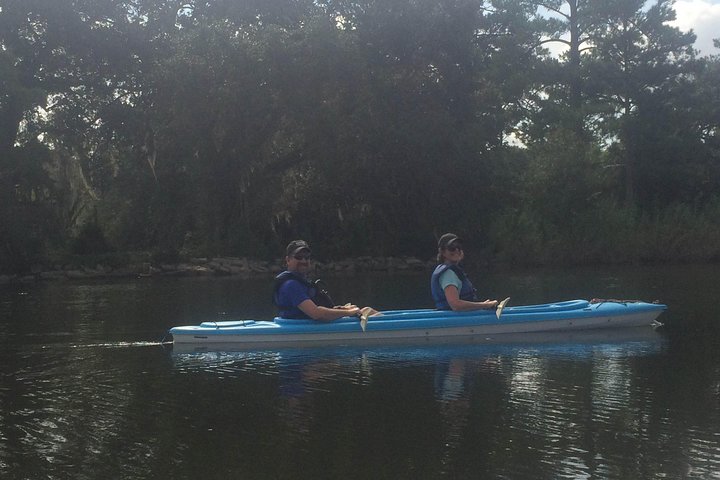 Delta Wildlife Kayak Tour