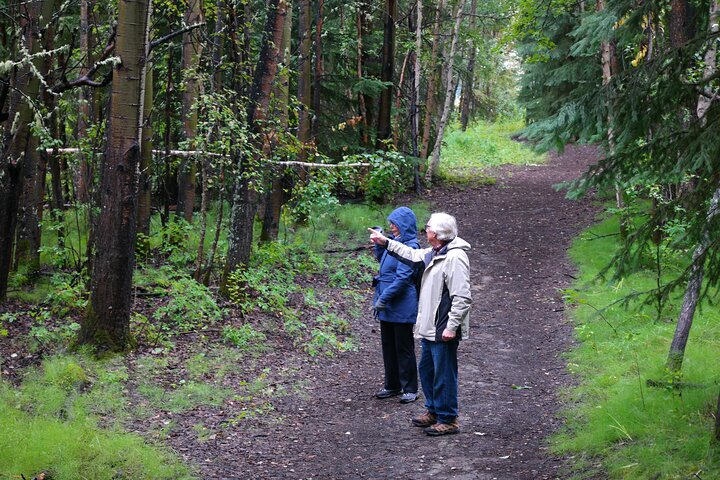 Alaskan Scenic Nature Excursion With Photography And Pick Up Service - thumb 1