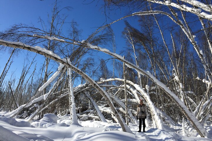 Alaskan Scenic Nature Excursion With Photography And Pick Up Service - thumb 2