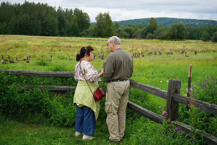 Alaskan Scenic Nature Excursion With Photography And Pick Up Service - thumb 5