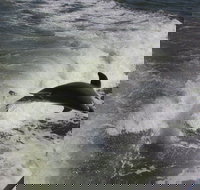 Everglades Adventure Day Trip from Greater Fort Myers/Naples Area - Accommodation Indiana