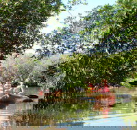 Guided Kayak Eco Tour in Florida - Accommodation Indiana